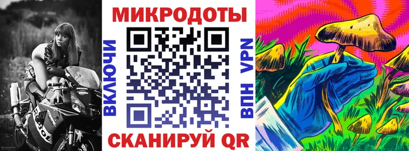 кракен   Соликамск  Галлюциногенные грибы мицелий 